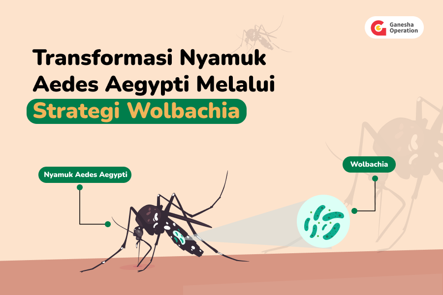 Transformasi Nyamuk Aedes Aegypti Melalui Strategi Wolbachia