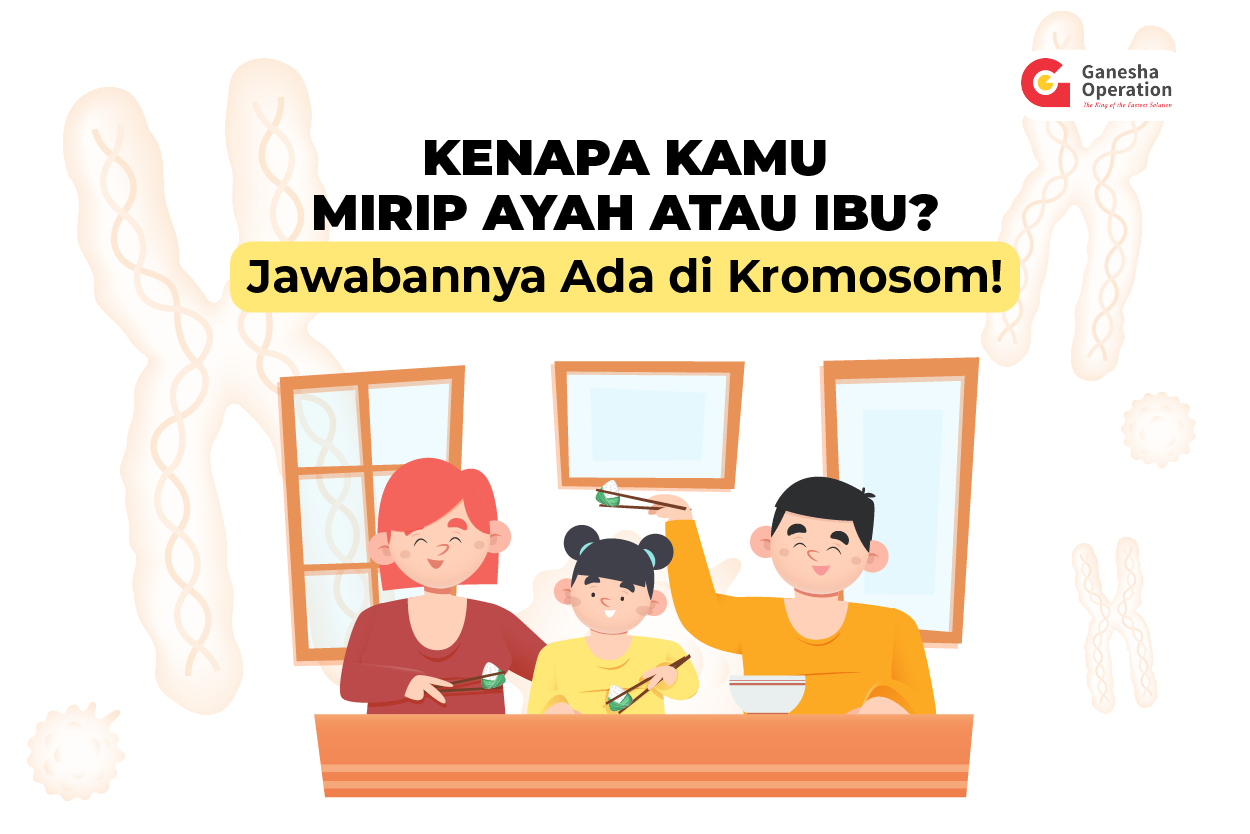 Kenapa Kamu Mirip Ayah atau Ibumu? Jawabannya Ada di Kromosom!
